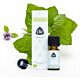 Chi etherische olie, pepermunt 10 ml