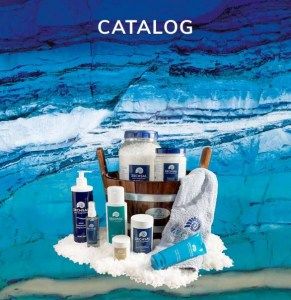 Zechsal catalog 2021
